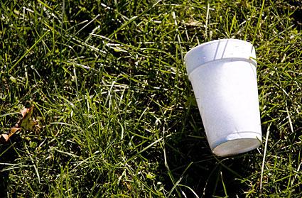 How Styrofoam is Bad for the Environment